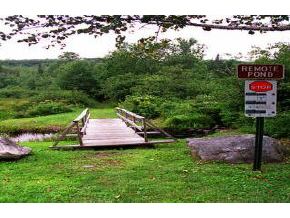 363 Bog Road Enfield, NH 03748 - Photo 3 of 3
