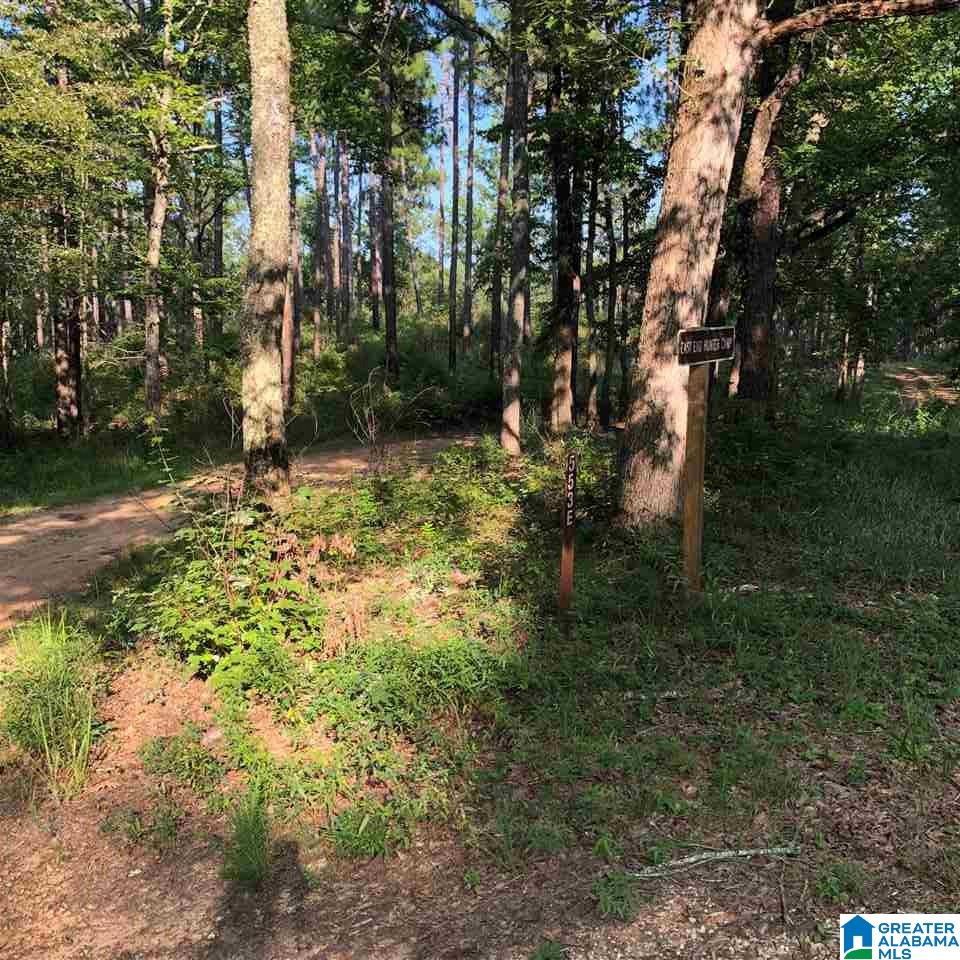 0 County Road 61, Unit 366 92 ACRES Fruithurst, AL 36262 - Photo 26 of 26