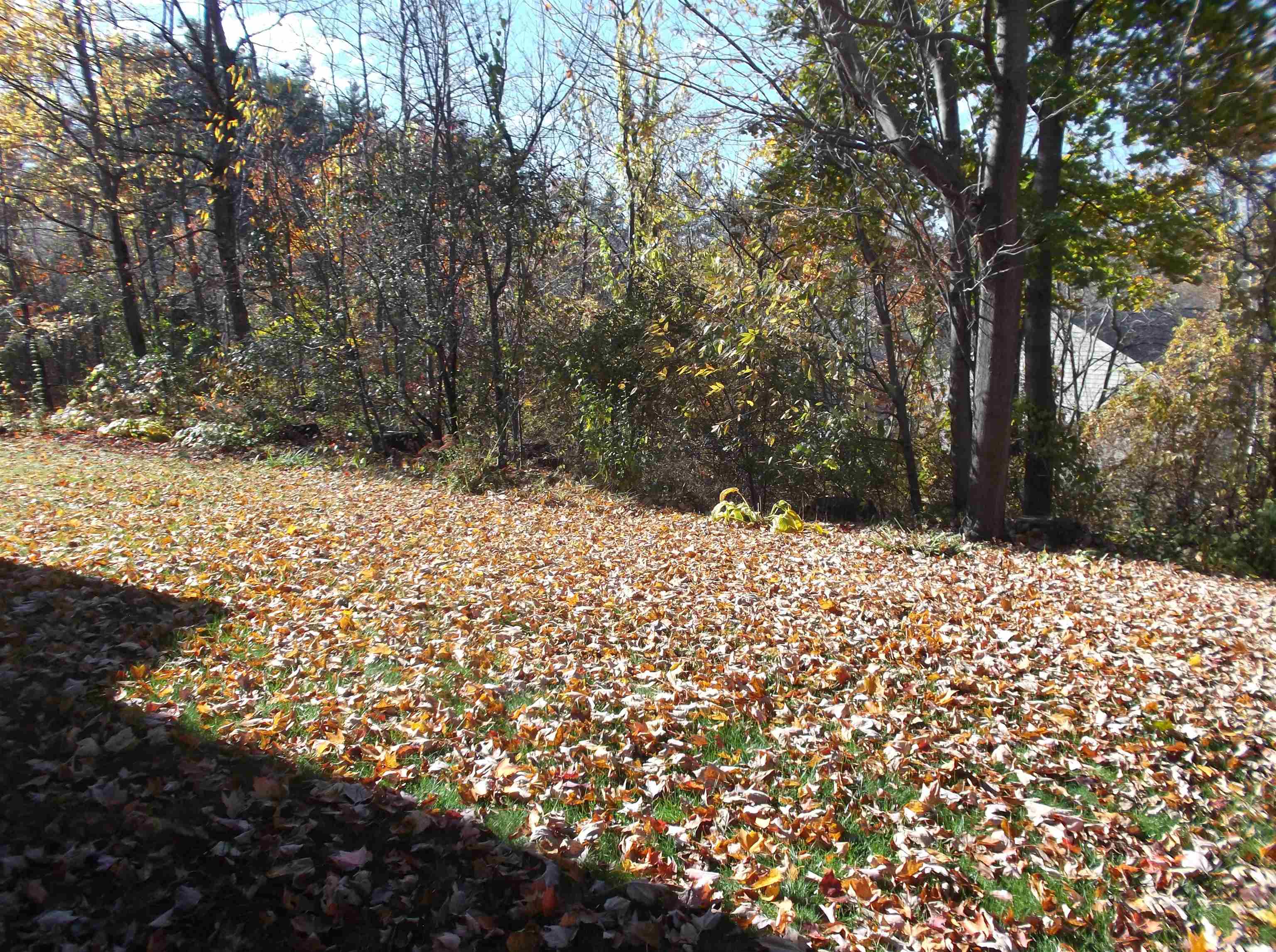 23 Bayberry Lane South Burlington, VT 05403 - Photo 3 of 22
