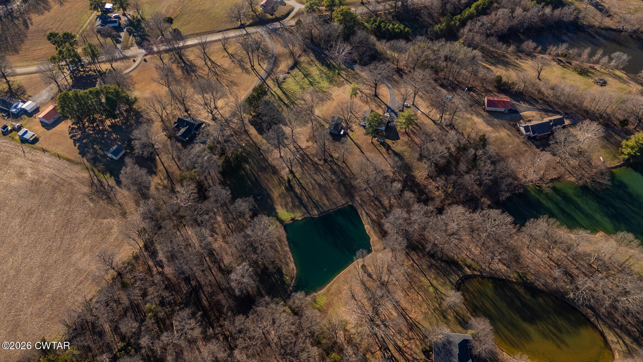 125 Old Dyer-Trenton Road Dyer, TN 38330 - Photo 28 of 40 a view of a yard