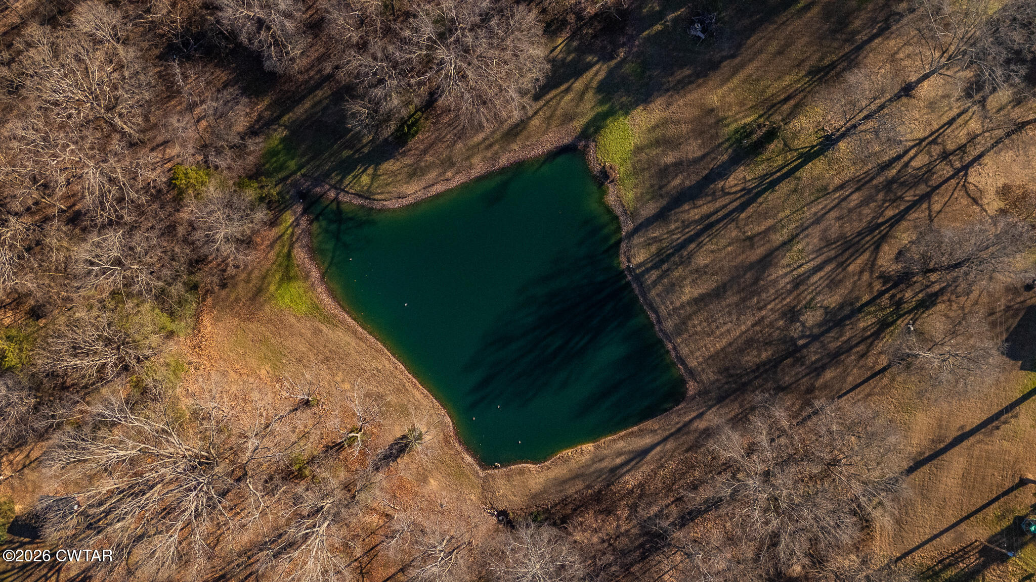 125 Old Dyer-Trenton Road Dyer, TN 38330 - Photo 29 of 40 a view of a yard