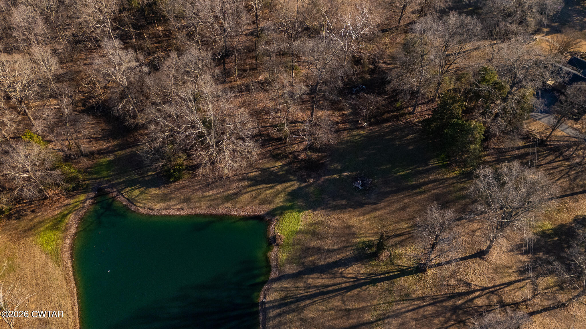 125 Old Dyer-Trenton Road Dyer, TN 38330 - Photo 30 of 40 a view of a yard