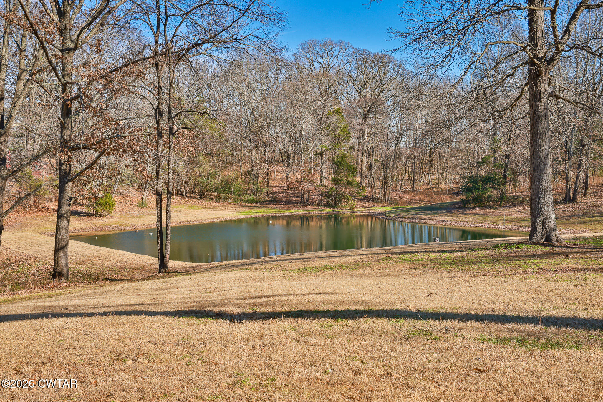 125 Old Dyer-Trenton Road Dyer, TN 38330 - Photo 31 of 40 a view of a yard with large trees