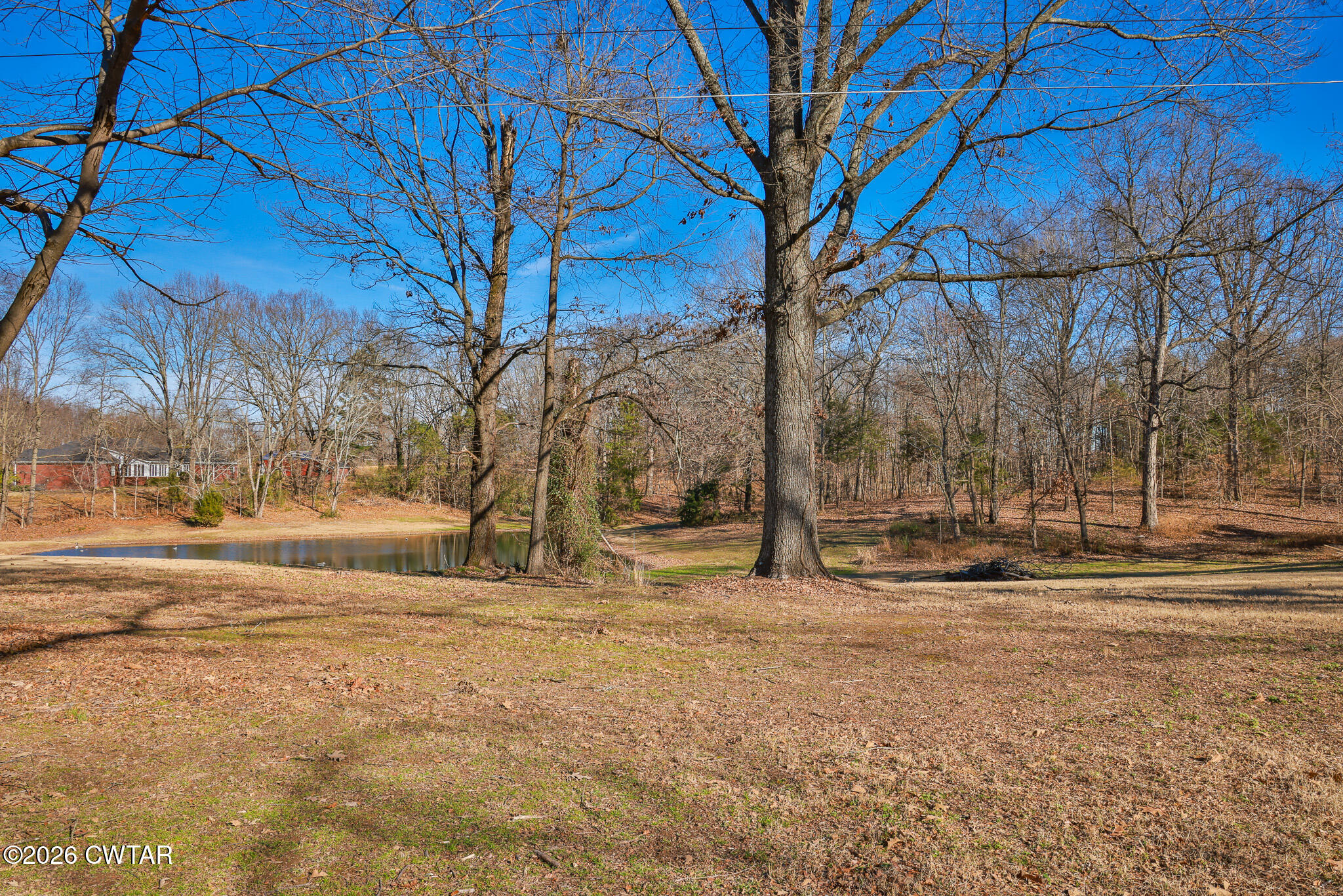 125 Old Dyer-Trenton Road Dyer, TN 38330 - Photo 33 of 40 a view of a yard with large trees