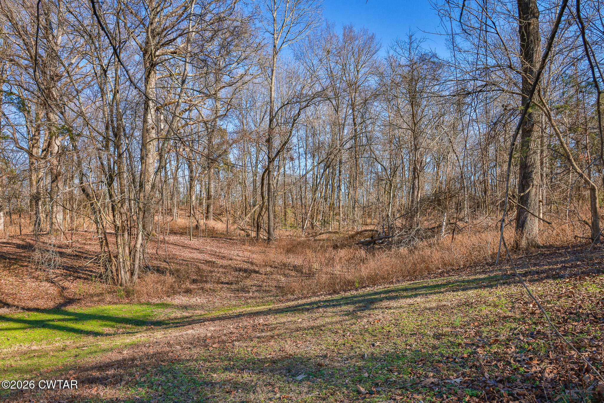 125 Old Dyer-Trenton Road Dyer, TN 38330 - Photo 35 of 40 a view of a yard with wooden fence