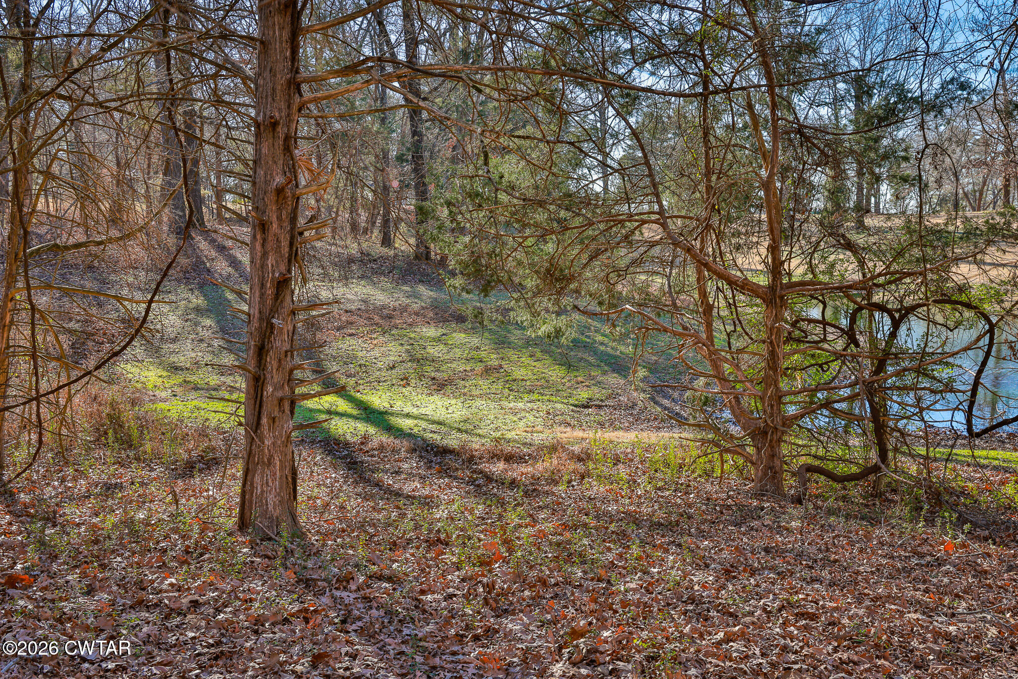 125 Old Dyer-Trenton Road Dyer, TN 38330 - Photo 37 of 40 a view of forest