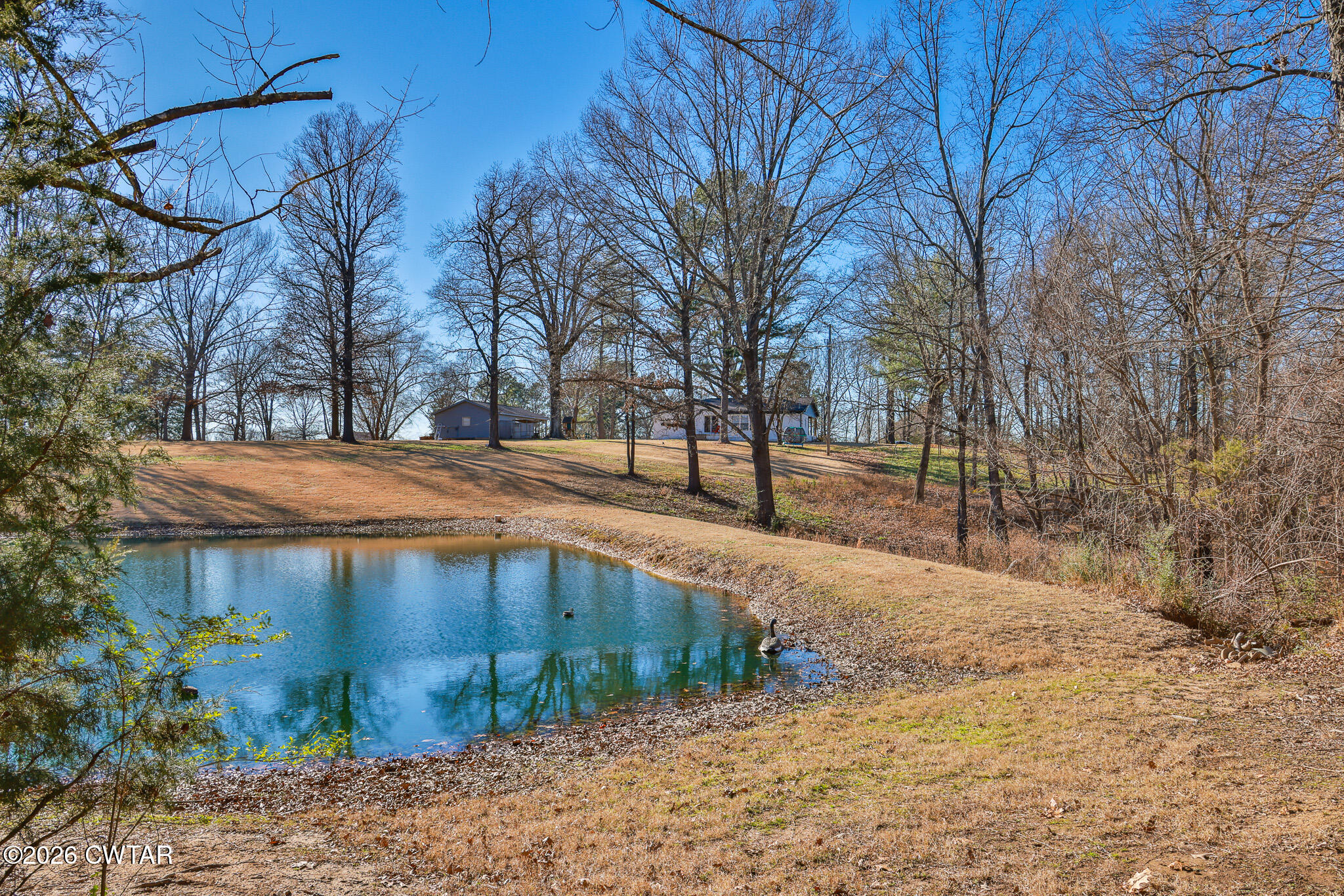 125 Old Dyer-Trenton Road Dyer, TN 38330 - Photo 38 of 40 a view of a yard with a tree
