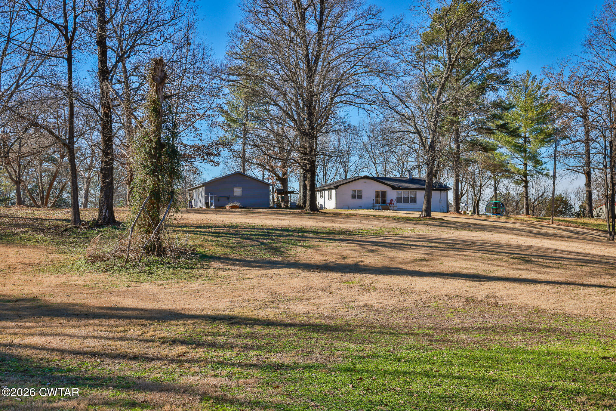 125 Old Dyer-Trenton Road Dyer, TN 38330 - Photo 40 of 40 a view of road with large trees