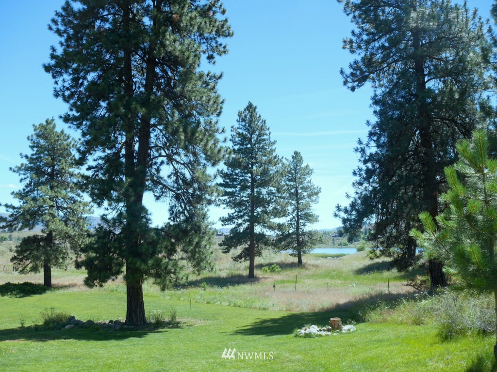 16 Butterweed Road Winthrop, WA 98862 - Photo 21 of 24 Gallery Image 21