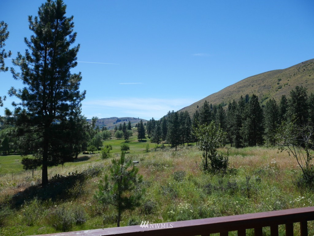 16 Butterweed Road Winthrop, WA 98862 - Photo 24 of 24 Gallery Image 24