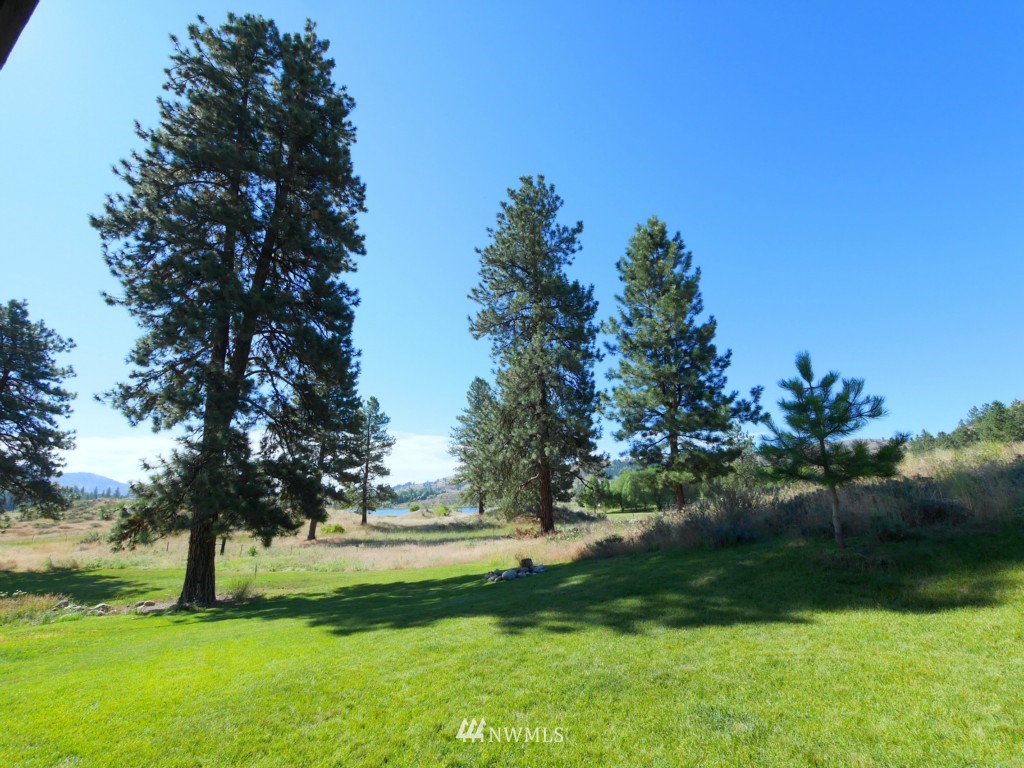 16 Butterweed Road Winthrop, WA 98862 - Photo 9 of 24 Gallery Image 9
