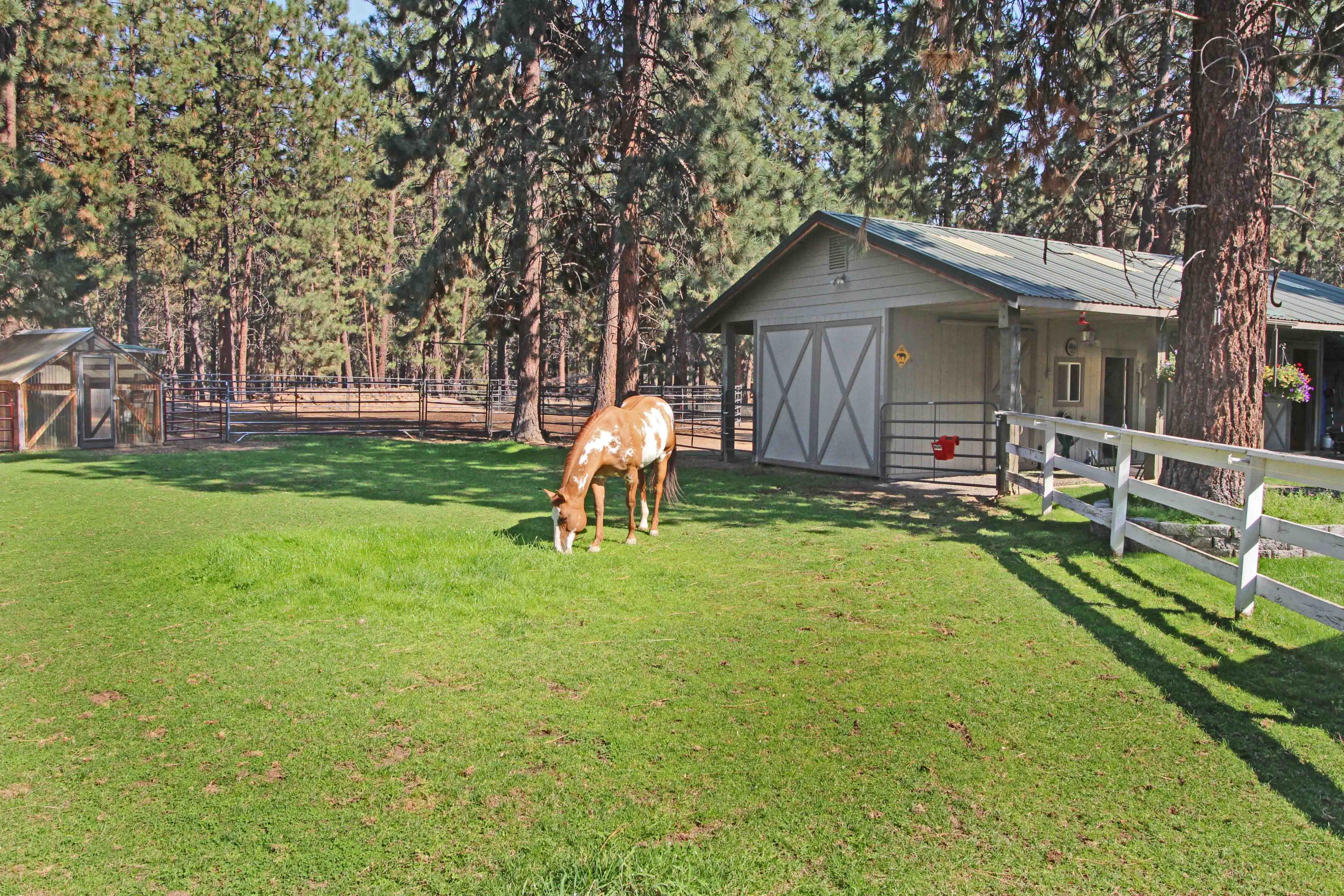 60076 Turquoise Road Bend, OR 97702 - Photo 12 of 43 Pasture area, lush and green!