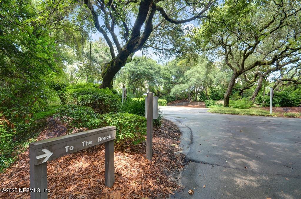 2021 Beachwood Road Fernandina Beach, FL 32034 - Photo 23 of 32 a view of a yard with plants and trees