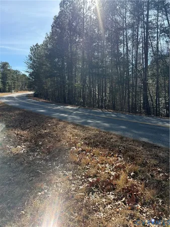 a view of a yard with trees
