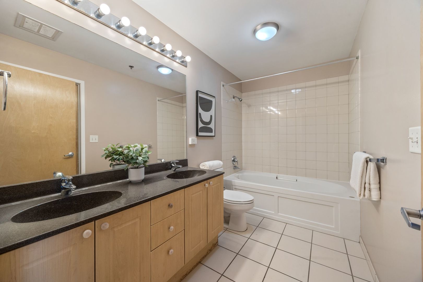 1620 South Michigan Avenue, Unit 619 Chicago, IL 60616 - Photo 14 of 21