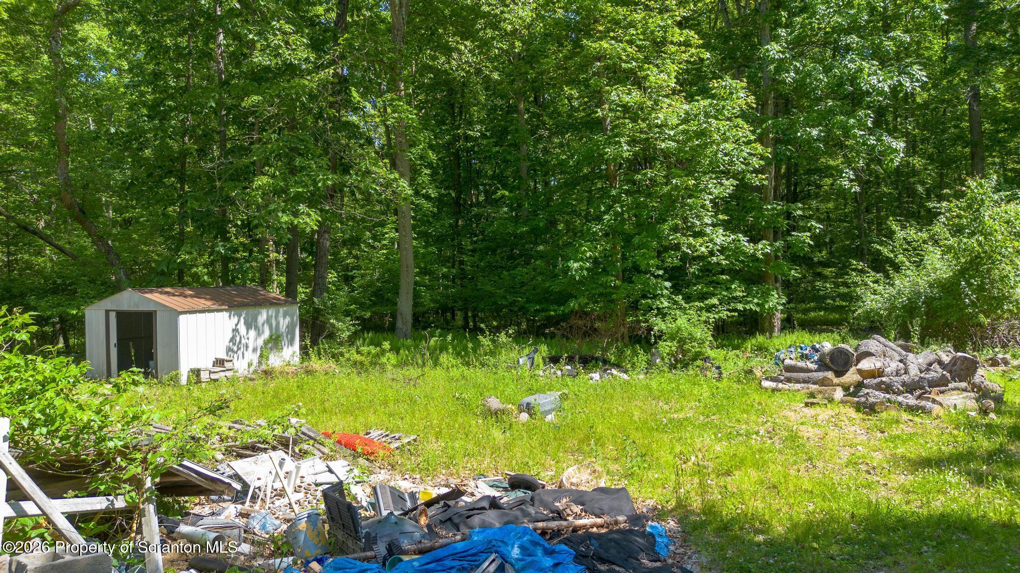 112 Spring Hill Drive Hunlock Creek, PA 18621 - Photo 10 of 54 Surrounded by trees
