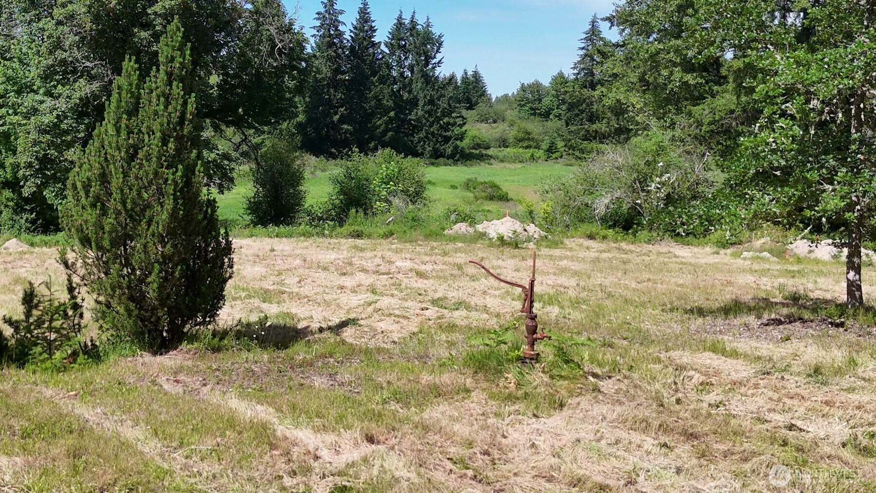 21842 Elbow Lake Road Southeast Yelm, WA 98597 - Photo 5 of 17