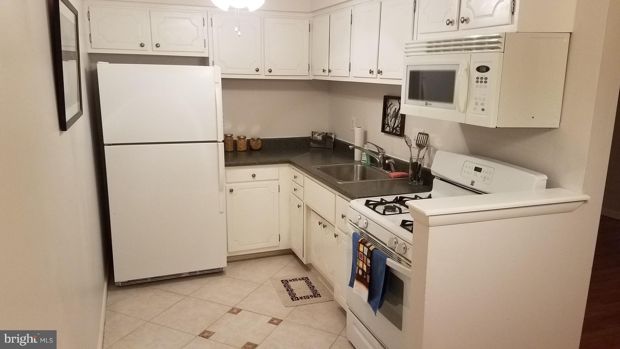 3219 Rhett Road Philadelphia, PA 19154 - Photo 6 of 28 Kitchen