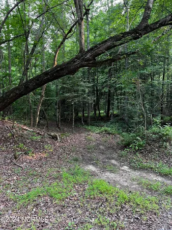 $119,900 | Tbd Soney Lane, Gatesville, NC 27938
