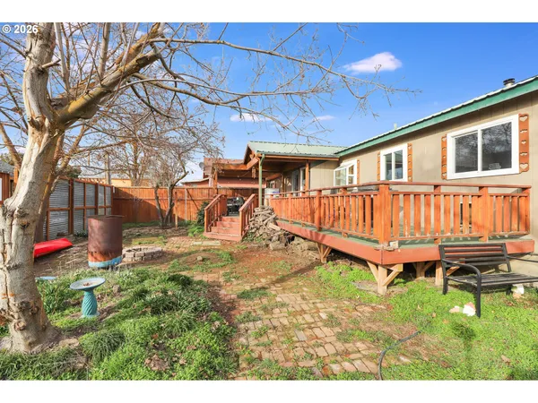 a view of a backyard with large tree