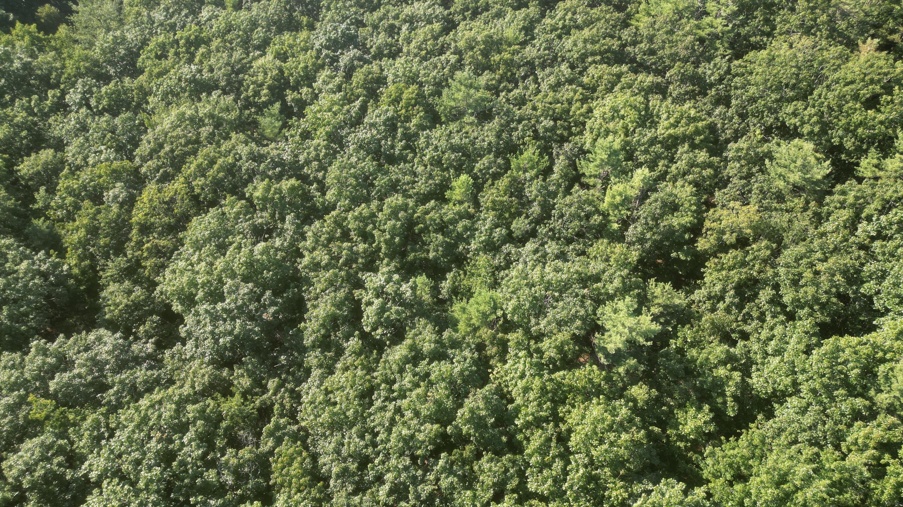 401 West Neck Road Nobleboro, ME 04555 - Photo 11 of 13 dji_fly_202408