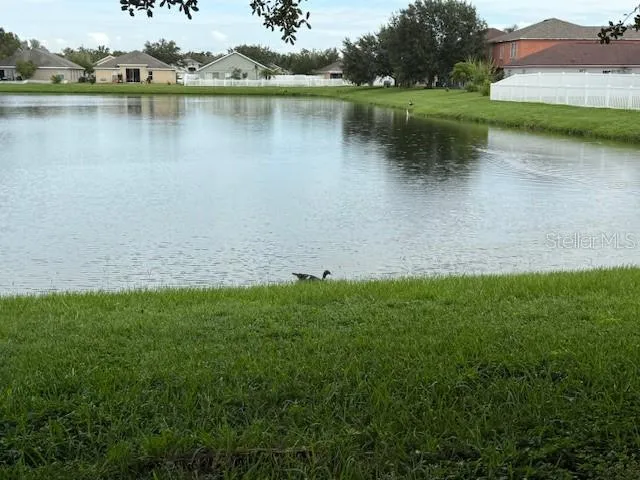 a view of a lake with houses in the back