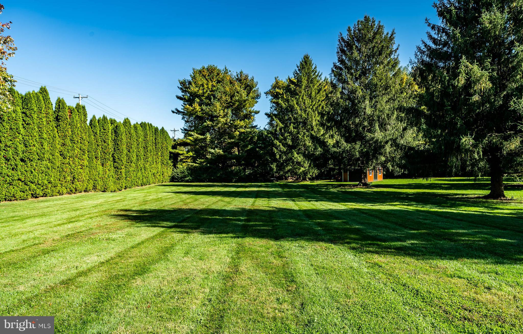 875 Reeceville Road Coatesville, PA 19320 - Photo 40 of 42 long view of back yard
