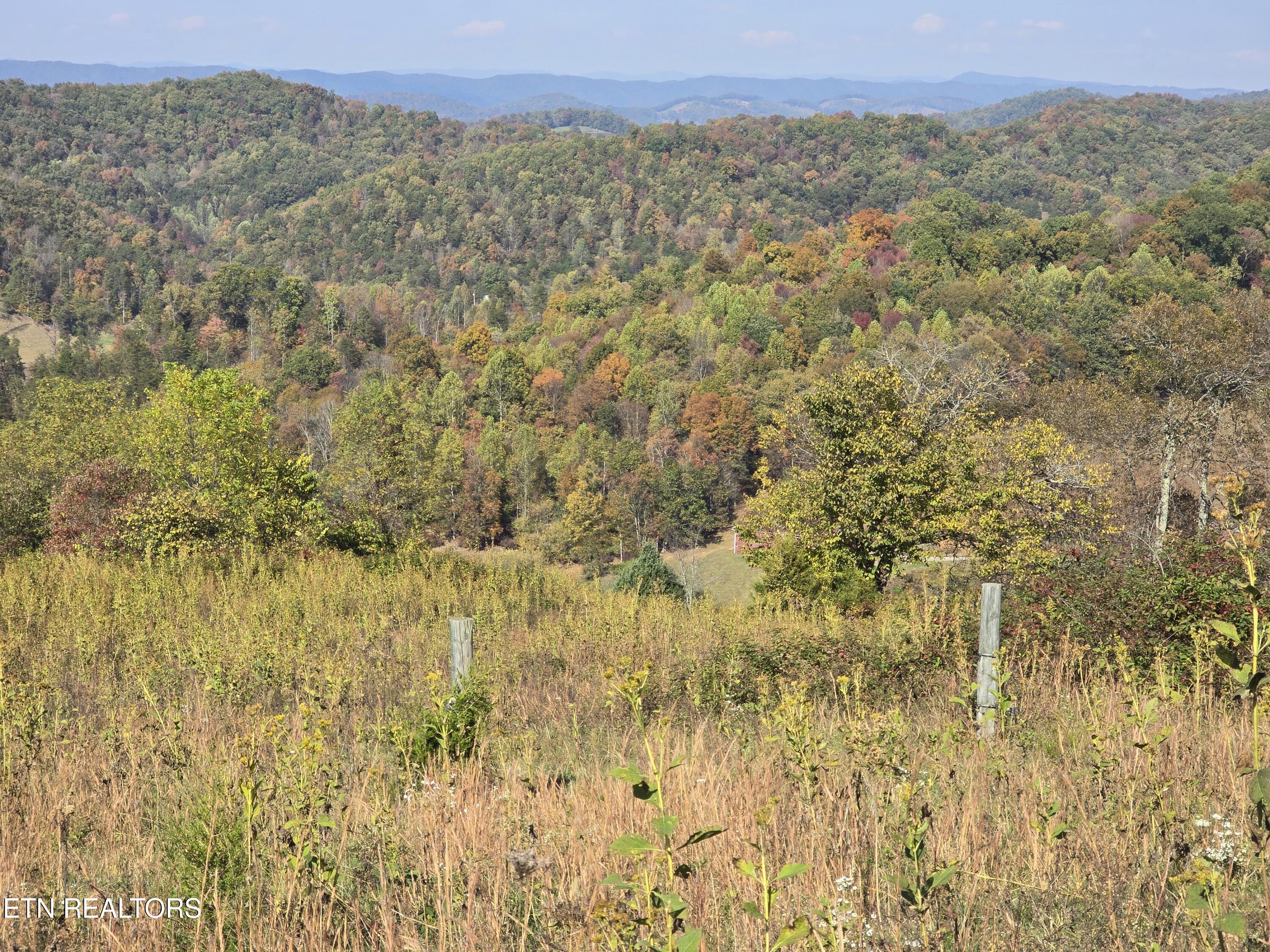 Tbd Copper Ridge Road Eidson, TN 37731 - Photo 11 of 49 20251018_145447