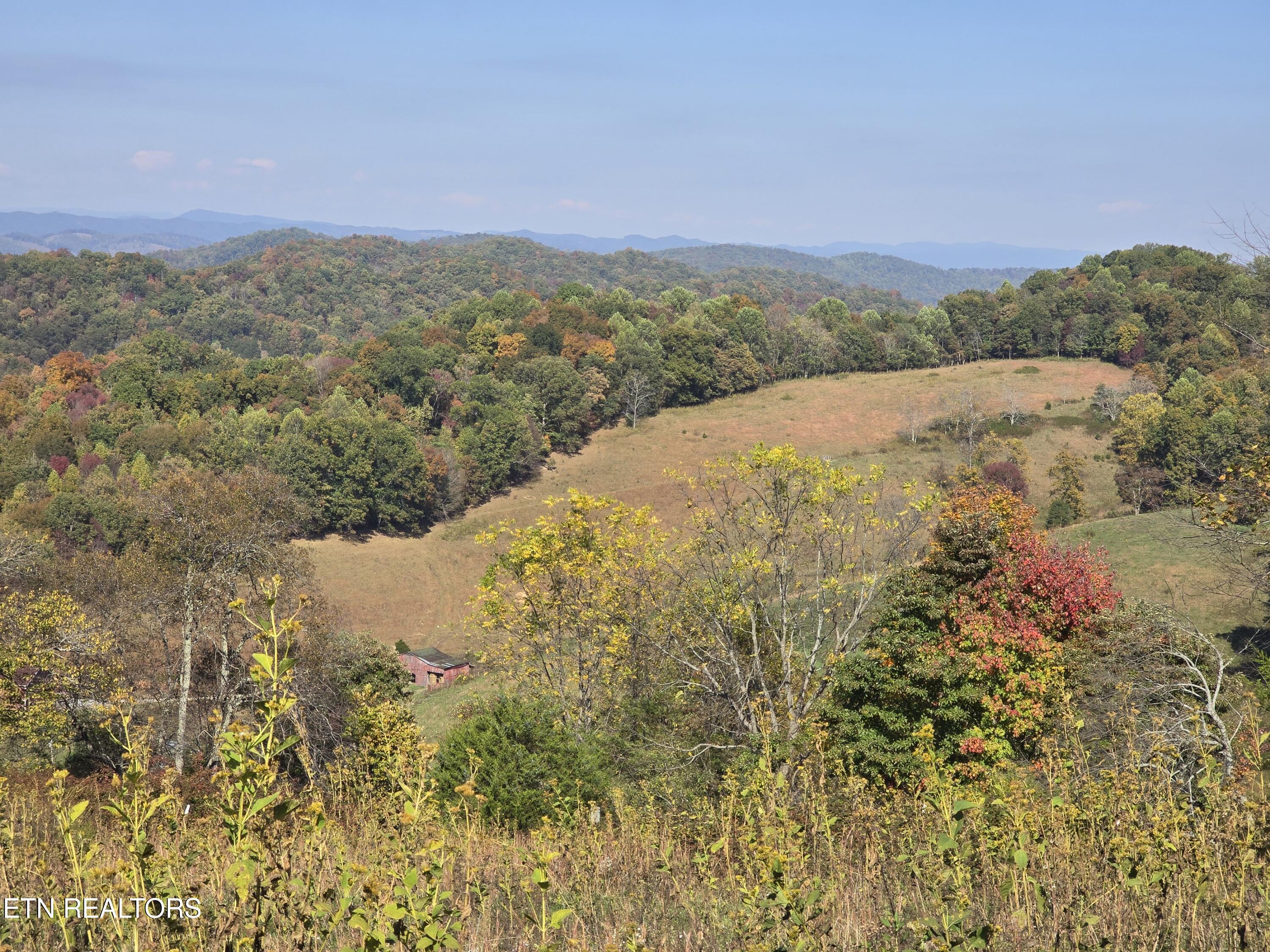 Tbd Copper Ridge Road Eidson, TN 37731 - Photo 12 of 49 20251018_145407