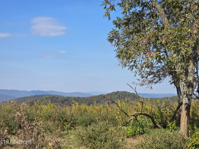 $297,900 | Tbd Copper Ridge Road, Eidson, TN 37731