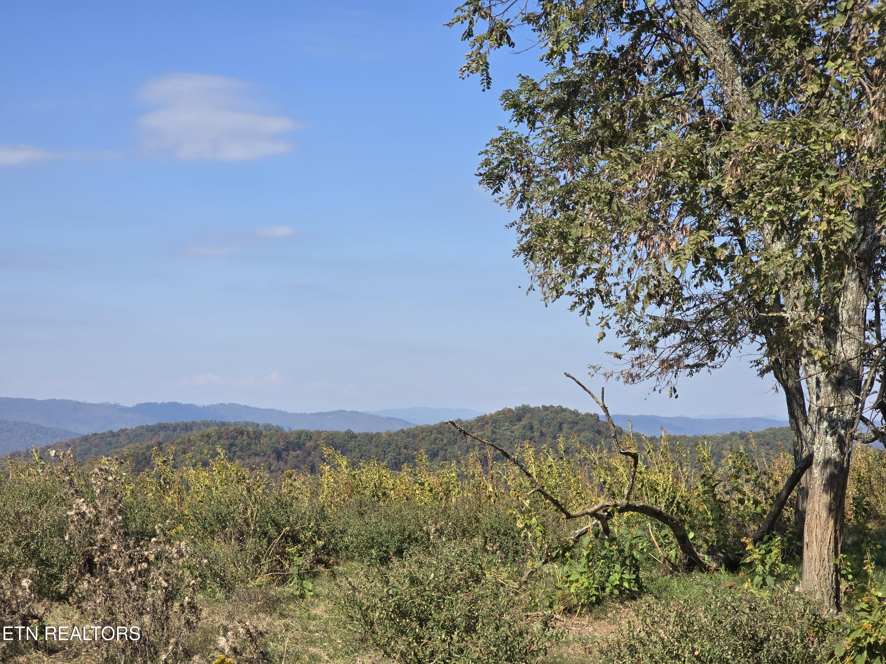Tbd Copper Ridge Road Eidson, TN 37731 - Photo 13 of 49 2135ee60-c6ed-46ab-b346-efa6f1baf937
