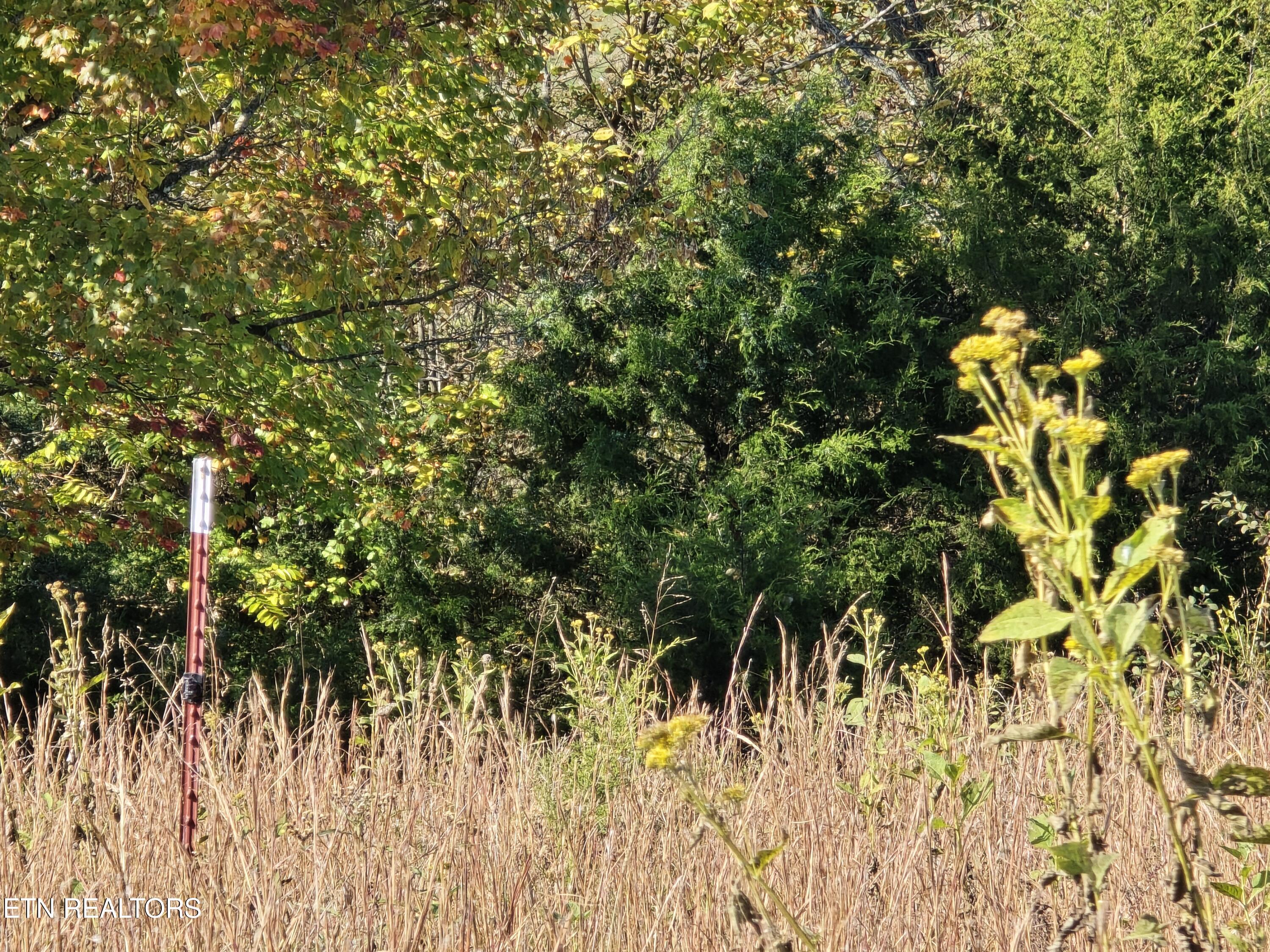 Tbd Copper Ridge Road Eidson, TN 37731 - Photo 15 of 49 20251018_145505