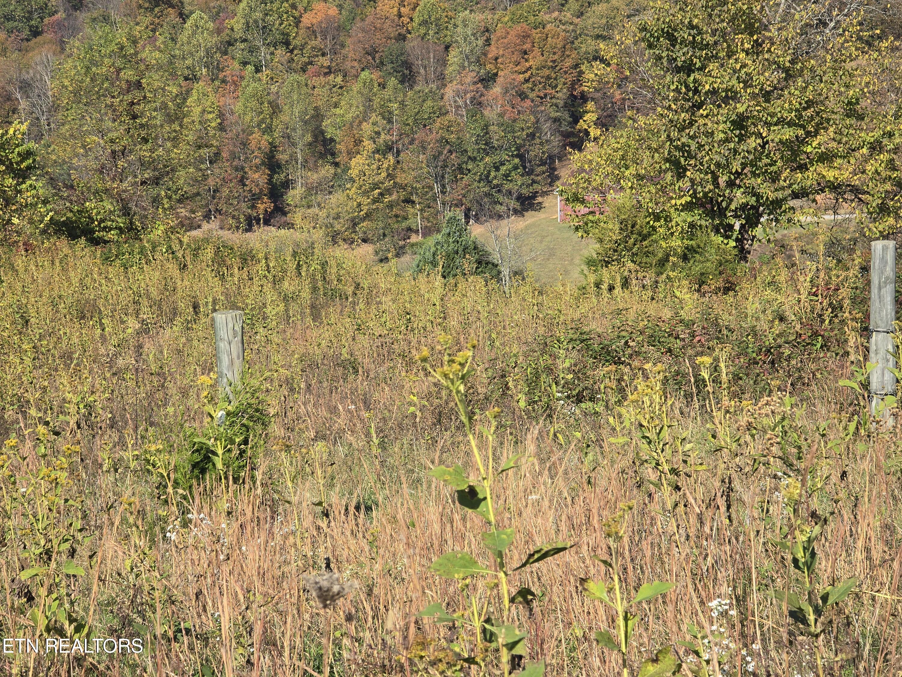 Tbd Copper Ridge Road Eidson, TN 37731 - Photo 18 of 49 20251018_145546