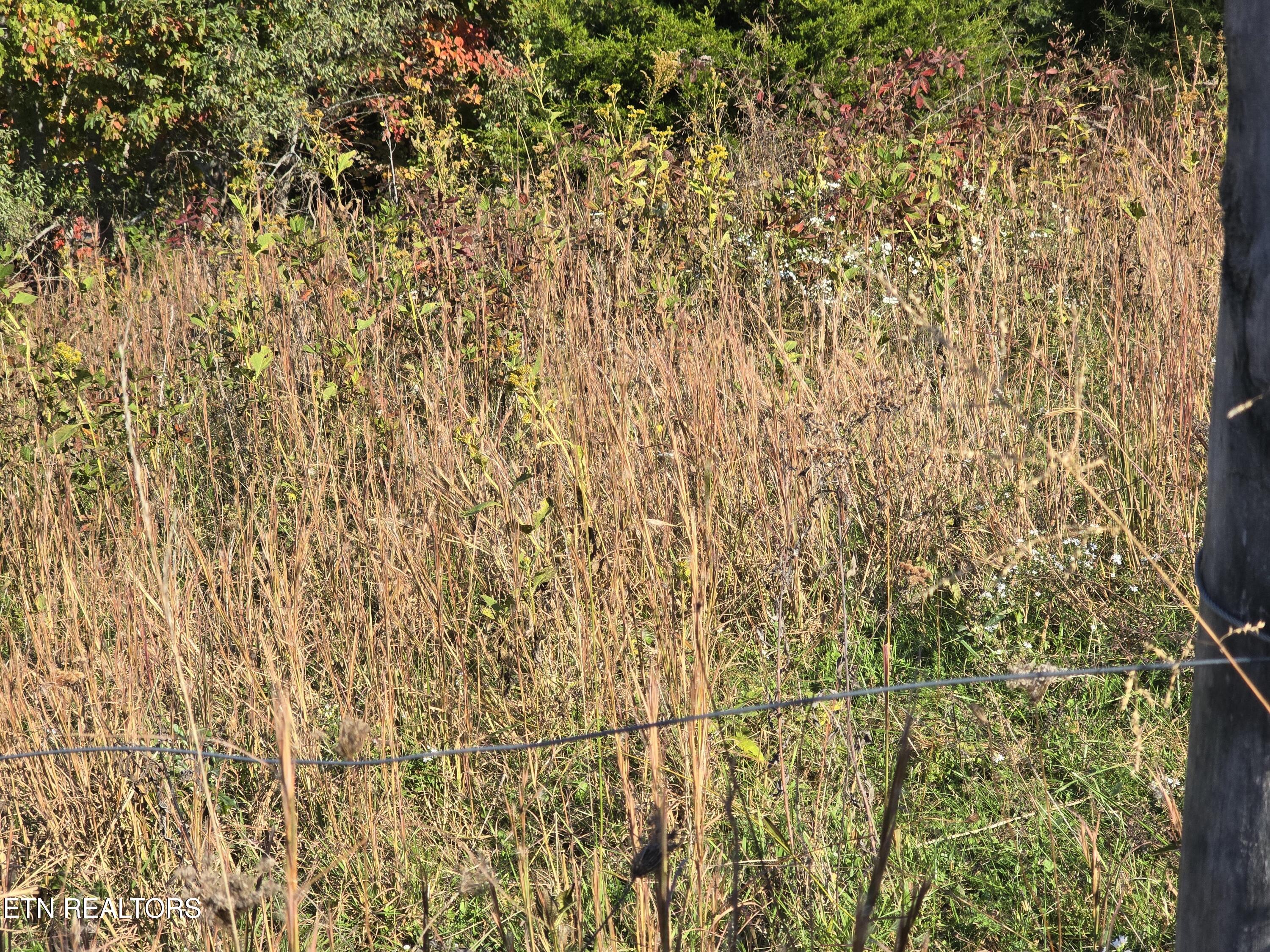 Tbd Copper Ridge Road Eidson, TN 37731 - Photo 19 of 49 20251018_145908