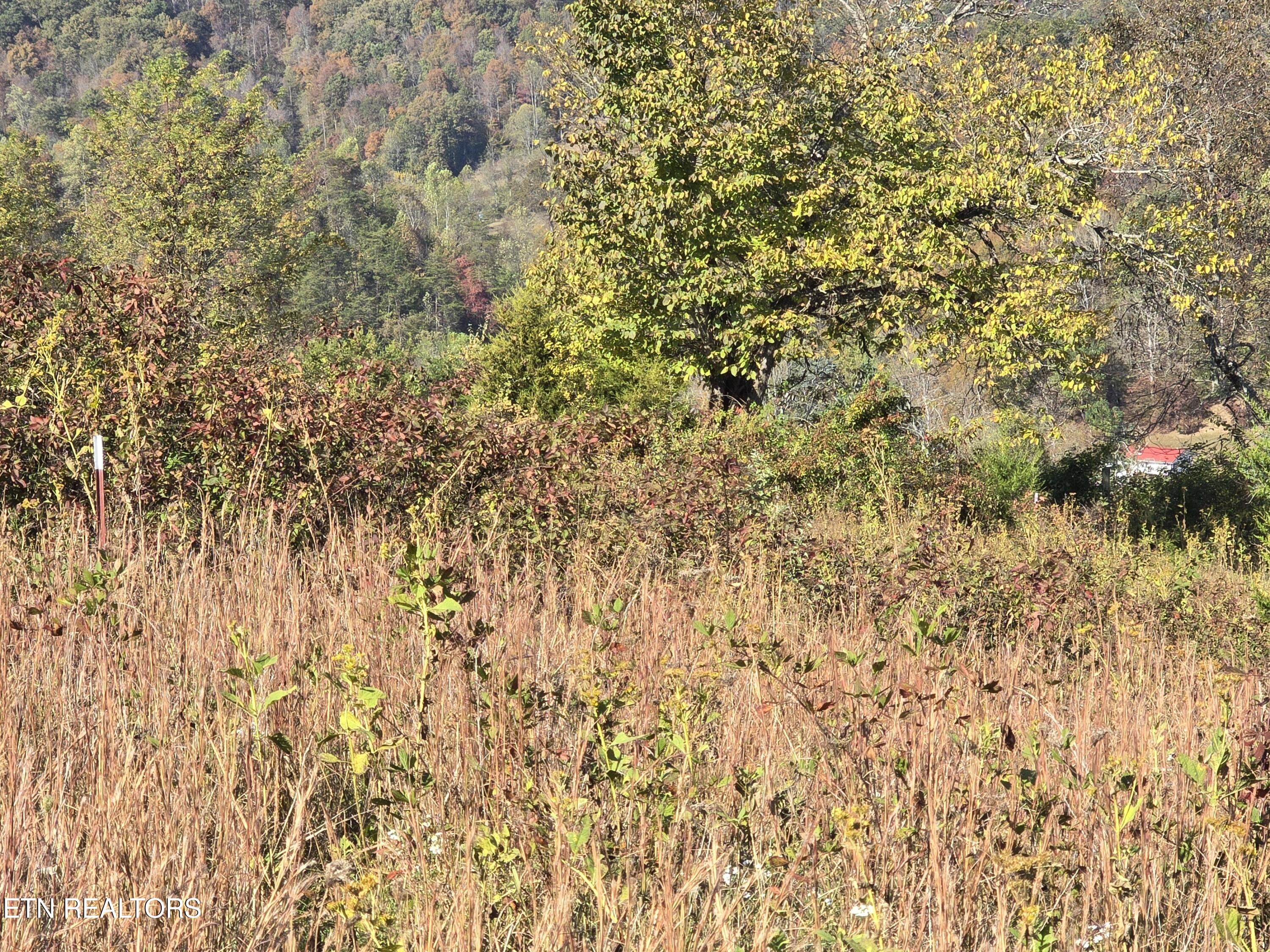 Tbd Copper Ridge Road Eidson, TN 37731 - Photo 20 of 49 20251018_150051