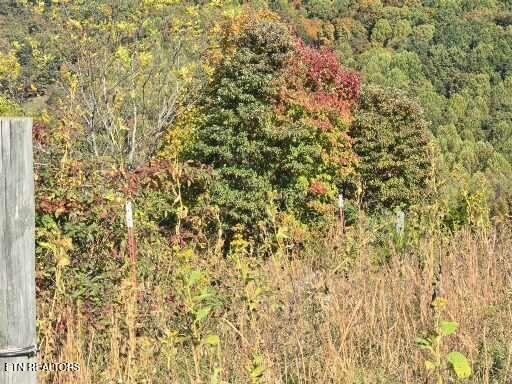 Tbd Copper Ridge Road Eidson, TN 37731 - Photo 21 of 49 1000009412