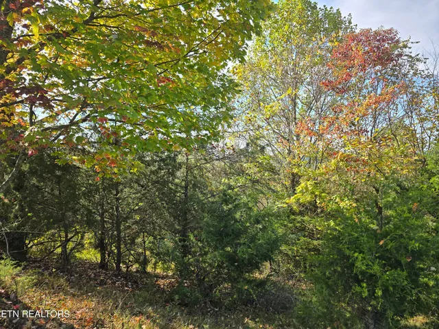 $297,900 | Tbd Copper Ridge Road, Eidson, TN 37731