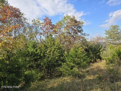 Tbd Copper Ridge Road Eidson, TN 37731 - Photo 24 of 49 1000009434