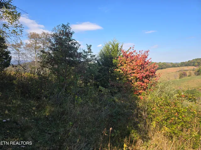 $297,900 | Tbd Copper Ridge Road, Eidson, TN 37731