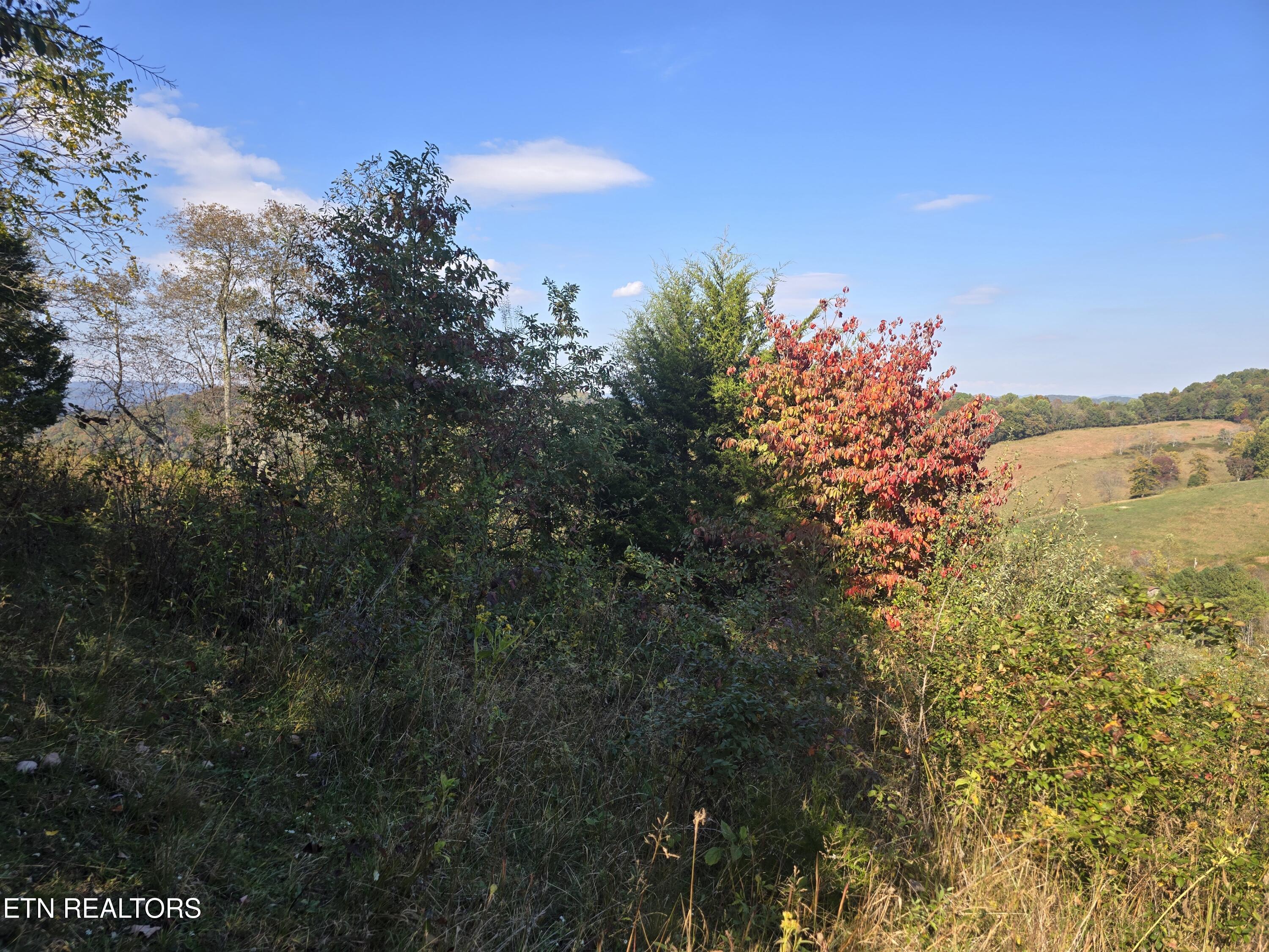 Tbd Copper Ridge Road Eidson, TN 37731 - Photo 25 of 49 20251018_151041