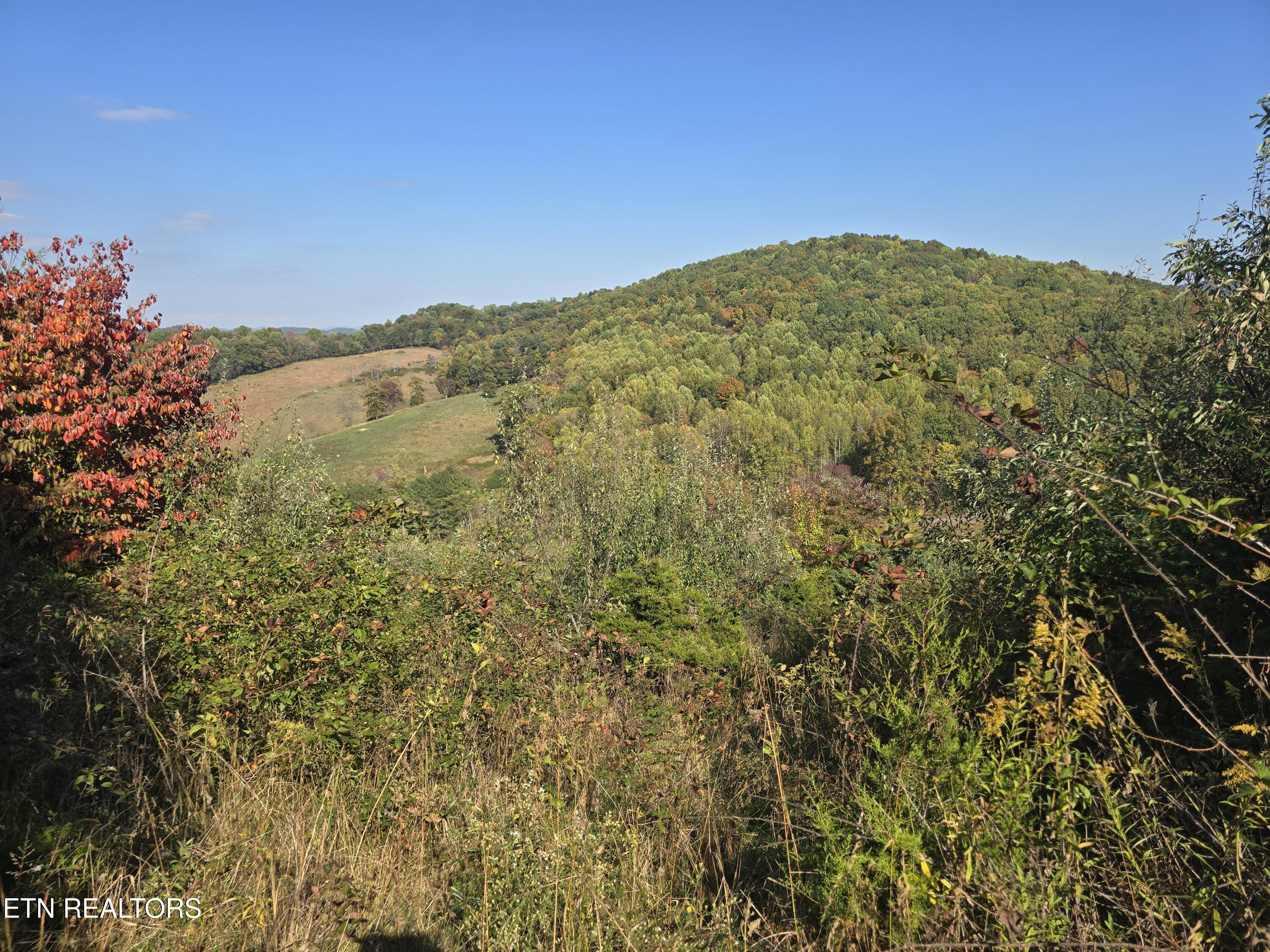 Tbd Copper Ridge Road Eidson, TN 37731 - Photo 26 of 49 20251018_151044