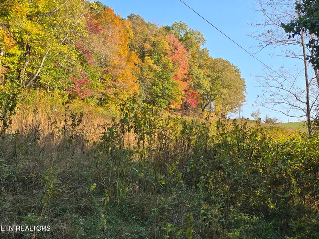 $297,900 | Tbd Copper Ridge Road, Eidson, TN 37731