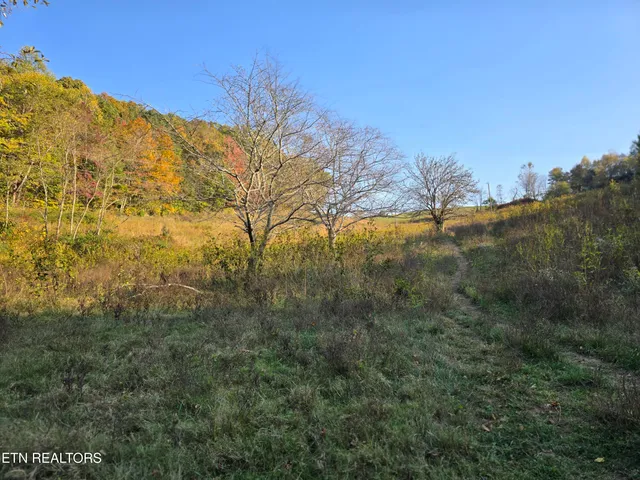 $297,900 | Tbd Copper Ridge Road, Eidson, TN 37731