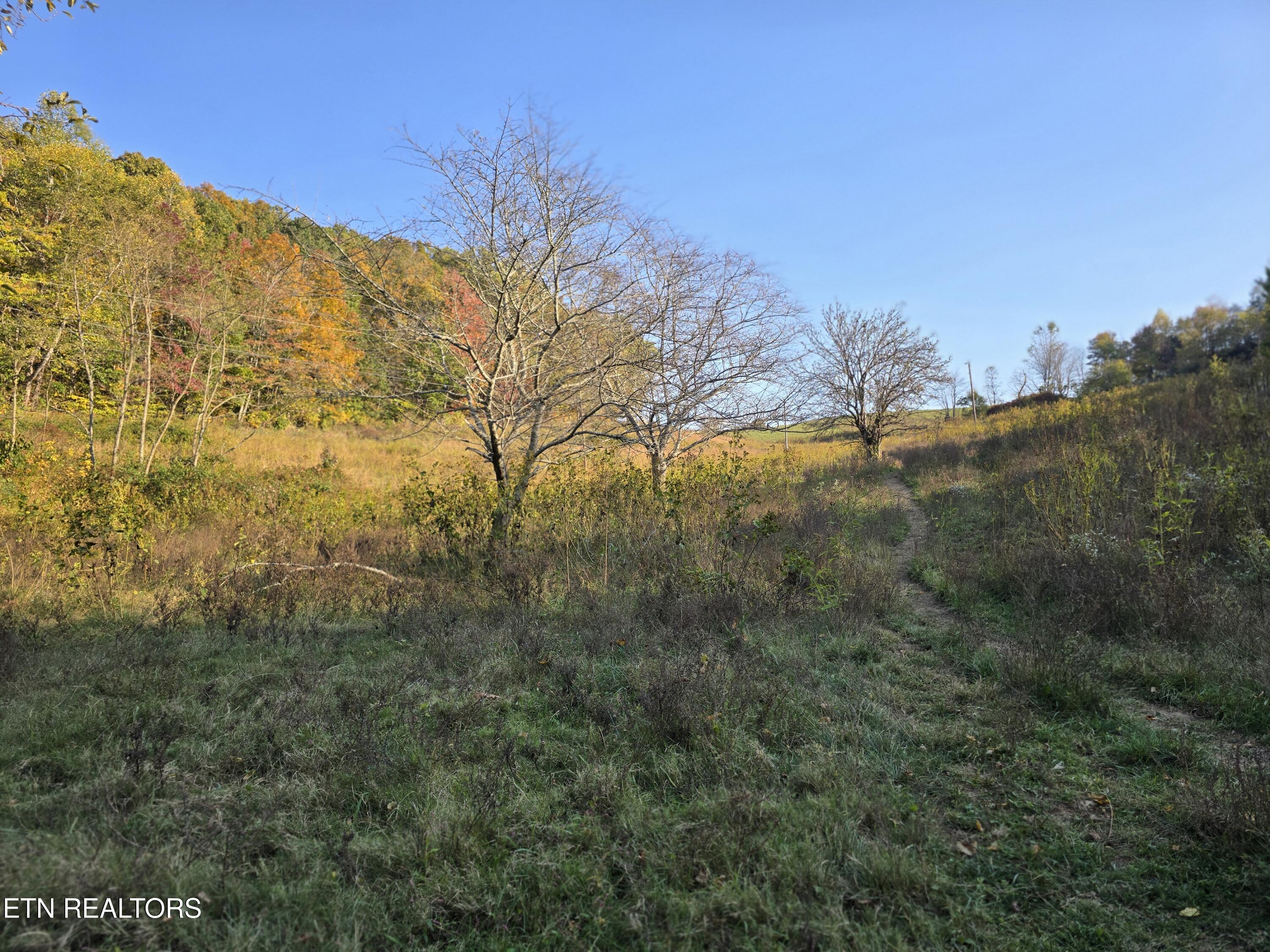 Tbd Copper Ridge Road Eidson, TN 37731 - Photo 28 of 49 20251018_165509