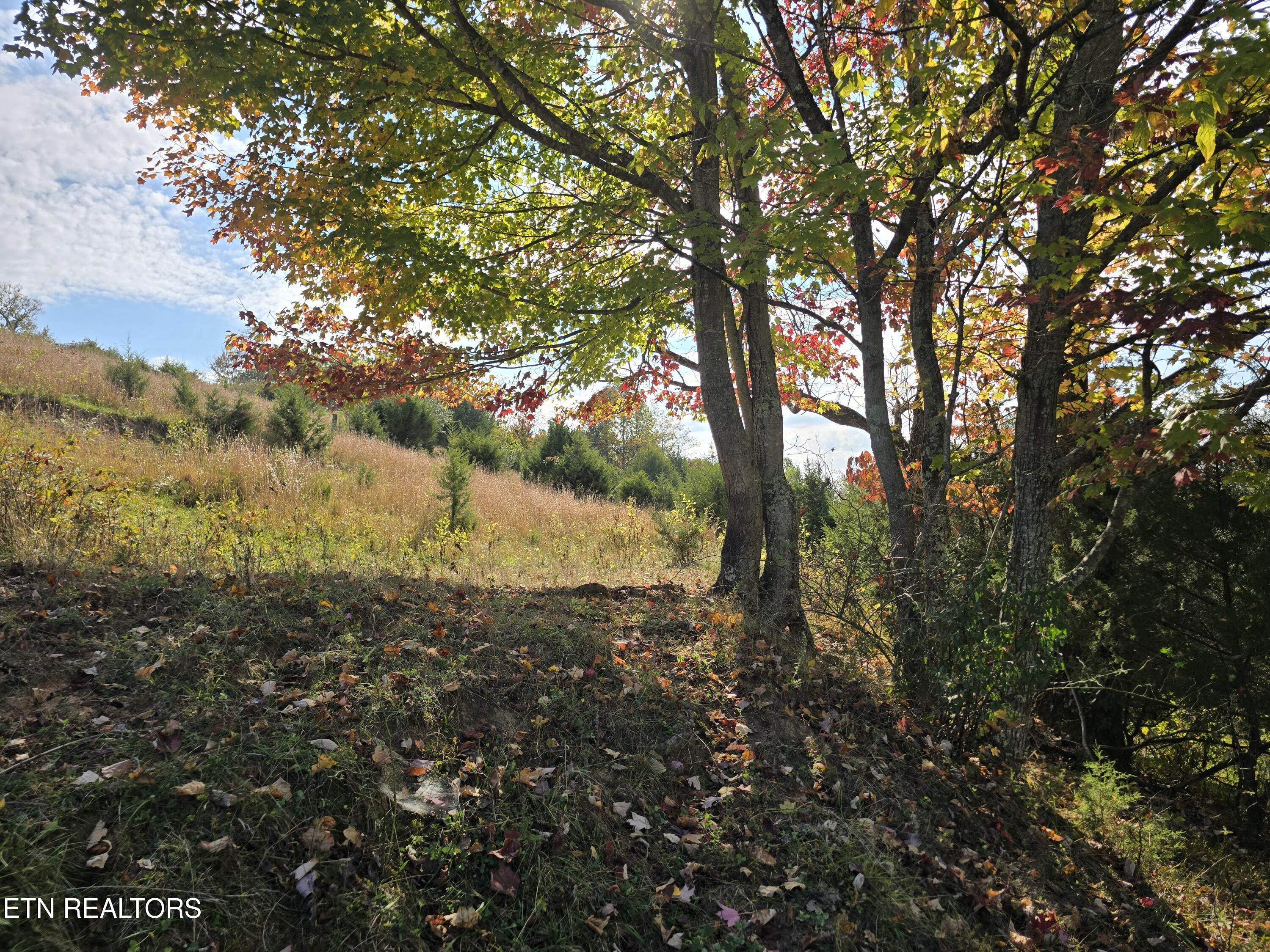 Tbd Copper Ridge Road Eidson, TN 37731 - Photo 29 of 49 20251018_152939