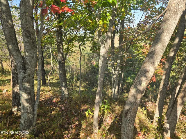 $297,900 | Tbd Copper Ridge Road, Eidson, TN 37731