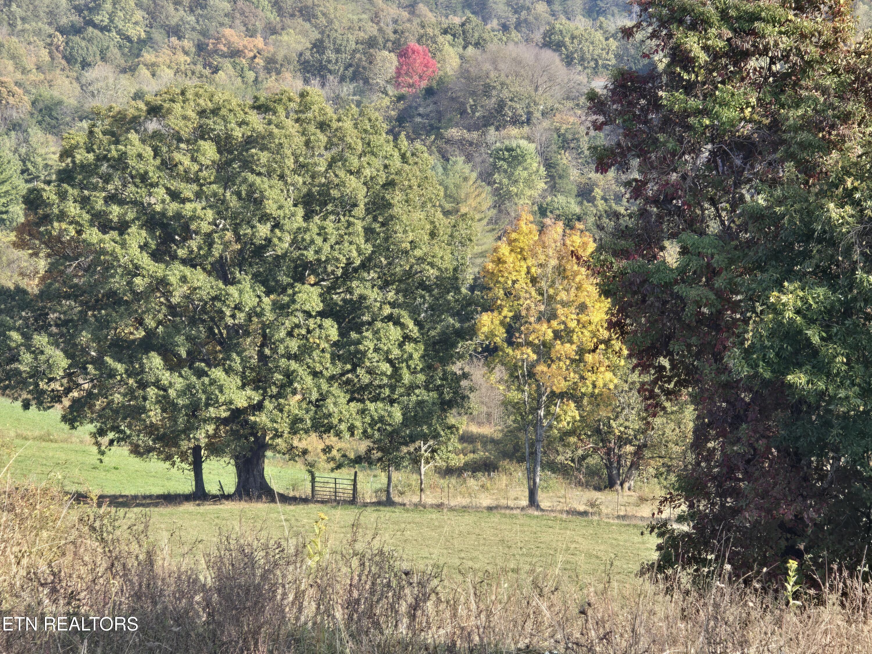 Tbd Copper Ridge Road Eidson, TN 37731 - Photo 31 of 49 20251018_160759