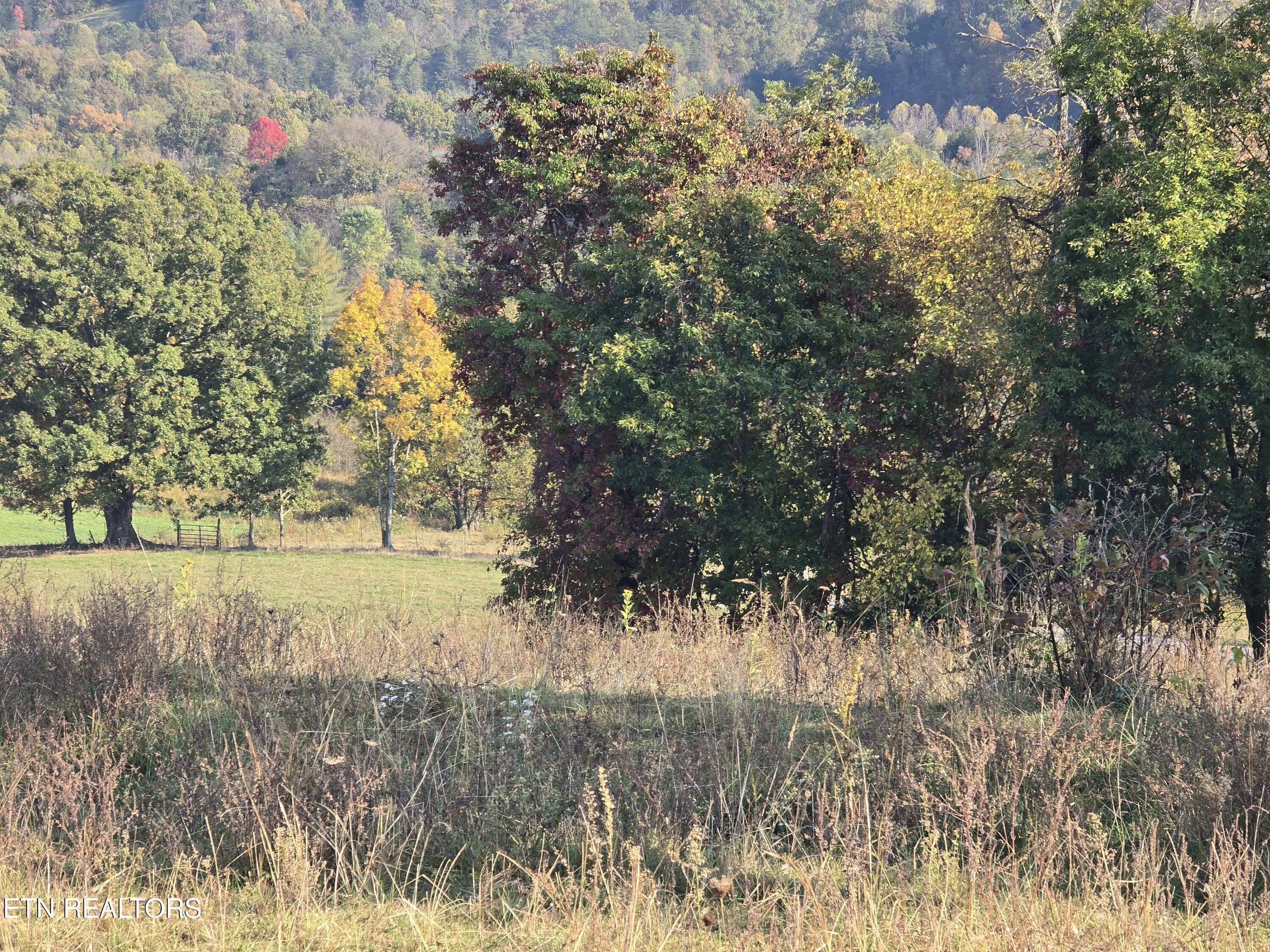 Tbd Copper Ridge Road Eidson, TN 37731 - Photo 32 of 49 20251018_160817