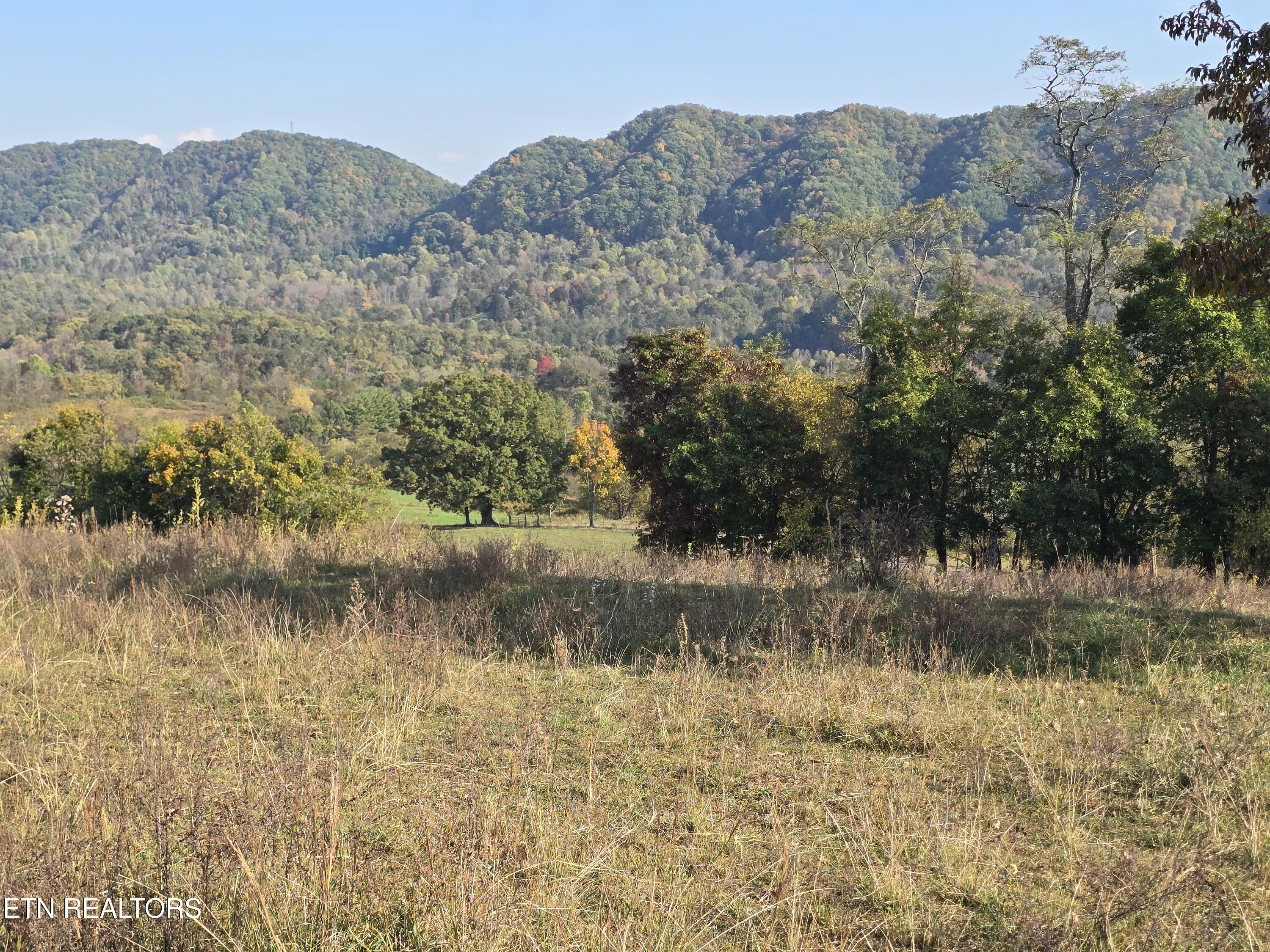 Tbd Copper Ridge Road Eidson, TN 37731 - Photo 33 of 49 20251018_160827