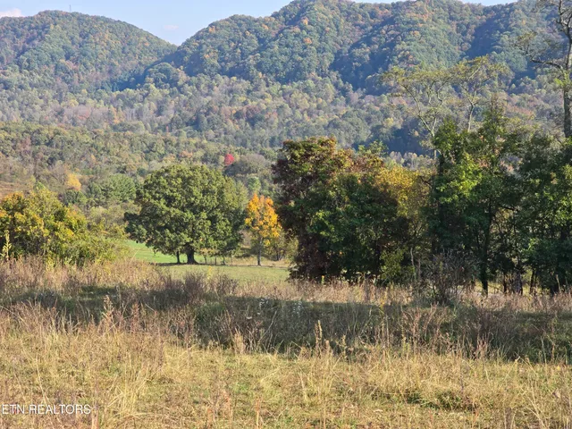 $297,900 | Tbd Copper Ridge Road, Eidson, TN 37731